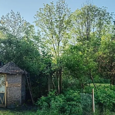 Camping Wild Place To Put Your Tent