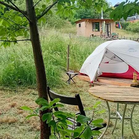 Wild Place To Put Your Tent 营地 *