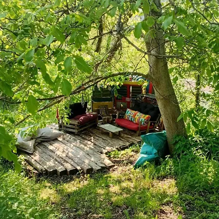 Camping Wild Place To Put Your Tent